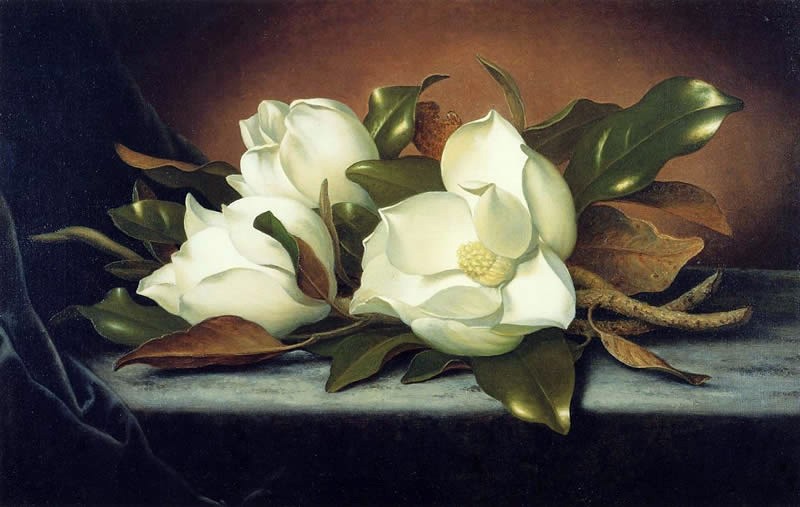Martin Johnson Heade Giant Magnolias